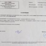 Перевод документа по фото: когда телефон заменяет сканер